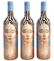 Vinho Chileno Vik La Piu Belle Tinto Kit Com 3 Garrafas Oferta