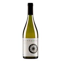 Vinho Fino Branco Cantagua Chardonnay Classic 750ml Vinho Fino Branco Cantagua Chardonnay Classic 750ml