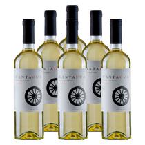 Vinho Fino Branco Cantagua Sauvignon Blanc 750ml 6 Unidades Vinho Fino Branco Cantagua Sauvignon Blanc 750ml 6 Unidades