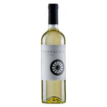 Vinho Fino Branco Cantagua Sauvignon Blanc 750ml Vinho Fino Branco Cantagua Sauvignon Blanc 750ml