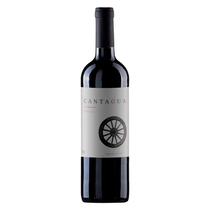 Vinho Fino Tinto Cantagua Carmenere 750ml