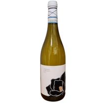 Vinho magnolia trebbiano dabruzzo doc 2023 itália