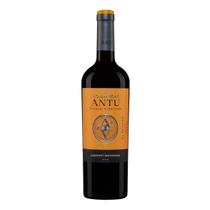 Vinho Montgras Antu Cabernet Sauvignon Tinto 750ml