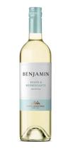 Vinho Nieto Senetiner Benjamin Branco Suave 750ml