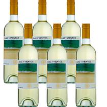 Vinho Olas Y Vientos Sauvignon Blanc Varietal Uruguai 6 x 750 ml