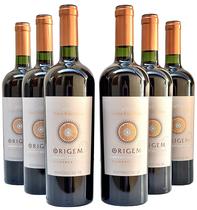 Vinho Origem Cabernet Sauvignon Kit Com 6 Garrafas