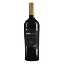 Vinho Paso de Los Andes Cabernet Sauvignon 750ml