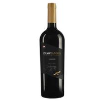 Vinho Paso De Los Andes Carmenere 750Ml - Vinho Chileno