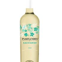 VINHO PASO DE LOS ANDES SAUVIGNON BLANC 750ml Valle Central VINHO PASO DE LOS ANDES SAUVIGNON BLANC 750ml Valle Central
