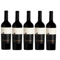 Vinho Perro Callejero Malbec Mosquita Muerta - 5 uni