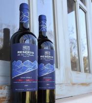 Vinho Reserva de Los Andes Gran Roble Malbec