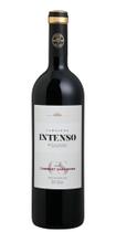 Vinho Salton Intenso Cabernet Sauvignon 750 ml