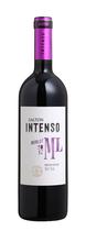 Vinho Salton Intenso Merlot 750ml