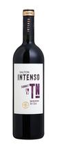 Vinho Salton Intenso Tannat 750ml