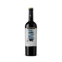 Vinho Santa Ema 4Elemento Cabernet Franc - 750ml Vinho Santa Ema 4Elemento Cabernet Franc - 750ml