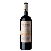 Vinho Séptima Tierra Chacayes 750 ml