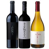 Vinho Sottano Los Biblicos Kit 3 garrafas 750ml Vinho Sottano Los Biblicos Kit 3 garrafas 750ml