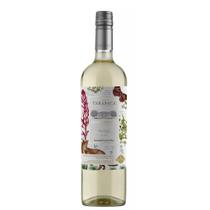 Vinho Tarapacá Biodiversity Edition Pinot Grigio 750ml Vinho Tarapacá Biodiversity Edition Pinot Grigio 750ml