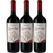 Vinho Tinto Braccobosca Ombu Tannat 750ml (3 und)