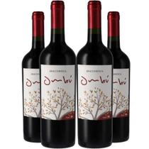 Vinho Tinto Braccobosca Ombu Tannat 750ml Kit 4 Garrafas