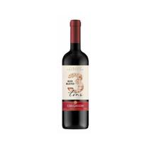 Vinho Tinto Brasileiro Casa Geraldo Red Blend 3 Tons Demi-Seco 750ml Vinho Tinto Brasileiro Casa Geraldo Red Blend 3 Tons Demi-Seco 750ml