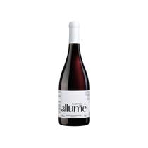 Vinho Tinto Brasileiro Pizzato Pinot Noir 750ml