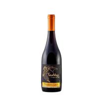 Vinho Tinto Brasileiro Villaggio Conti Teroldego 750ml