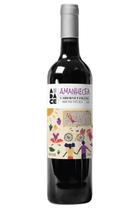 Vinho Tinto Cabernet Franc Amanhecer Audace Wine