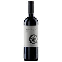 Vinho Tinto Cantagua Classic Carménère