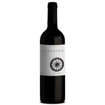Vinho Tinto Chileno Cantagua Clássico Cabernet Sauvignon