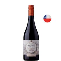 Vinho Tinto Chileno Castillo De Molina Gran Reserva Pinot Noir Vinho Tinto Chileno Castillo De Molina Gran Reserva Pinot Noir