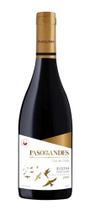 Vinho Tinto Chileno Paso De Los Andes Reserva Pinot Noir Vinho Tinto Chileno Paso De Los Andes Reserva Pinot Noir
