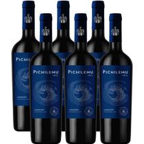 Vinho Tinto Chileno Seco Carmenere Pichilemu 750ml Caixa 6un