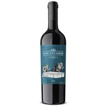 Vinho Tinto Encantados Malbec Jovem 750ml Frutado e Aveludado