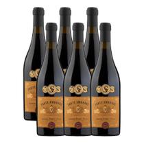 Vinho Tinto Italiano Forte Ambrone Toscana Rosso 750ml 6 Und