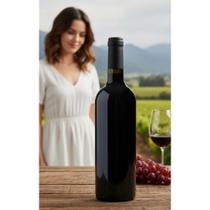 Vinho Tinto Malbec Vibrante 750ml Frescor Argentino Vinho Tinto Malbec Vibrante 750ml Frescor Argentino