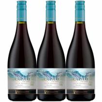 Vinho Tinto Queulat Gran Reserva Pinot Noir 750ml (3 und)