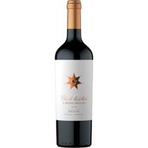Vinho tinto seco argentino clos de los siete 750 ml by michel rolland