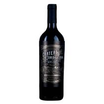 Vinho tinto seco Chateau Cordillera Malbec Gran Reserva