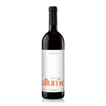 Vinho tinto seco fino cabernet franc allumé pizzato 750 ml