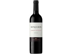 Vinho Tinto Seco Nieto Senetiner Benjamin - Argentino 750ml