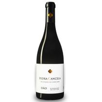 Vinho Tinto Seco Pedra Cancela Seleção do Enólogo 750ml Português Elegante Aromas de Frutas e Toque de Cacau Macio Equilibrado Encorpado Dão Vinho Tinto Seco Pedra Cancela Seleção do Enólogo 750ml Português Elegante Aromas de Frutas e Toque de Cacau Macio Equilibrado Encorpado Dão