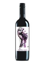 Vinho Tinto Uruguaio Anarkia Pablo Fallabrino Natural e Orgânico