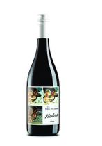 Vinho Tinto Uruguaio Notos Pablo Fallabrino Natural e Orgânico