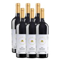 Vinho Tinto Violette Suave Serra Gaucha Pizzato 750ml Kit 6u Vinho Tinto Violette Suave Serra Gaucha Pizzato 750ml Kit 6u