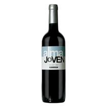 Vinho Uruguaio Tinto Alma Jovem Malbec 750ml