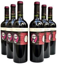 Vinho Viejo Feo Reserva Carménère Kit Com 6 Garrafas Oferta