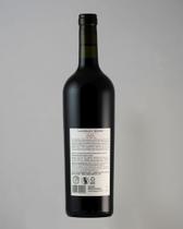 Vinho Vinyes Ocults Malbec 2021