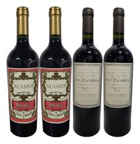 Vinhos Tinto 2 Dv Cabernet Malbec e 2 Alamos Malbec