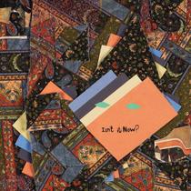 Vinil DOMINO Isn't It Now 2LP com cartão de download Vinil DOMINO Isn't It Now 2LP com cartão de download